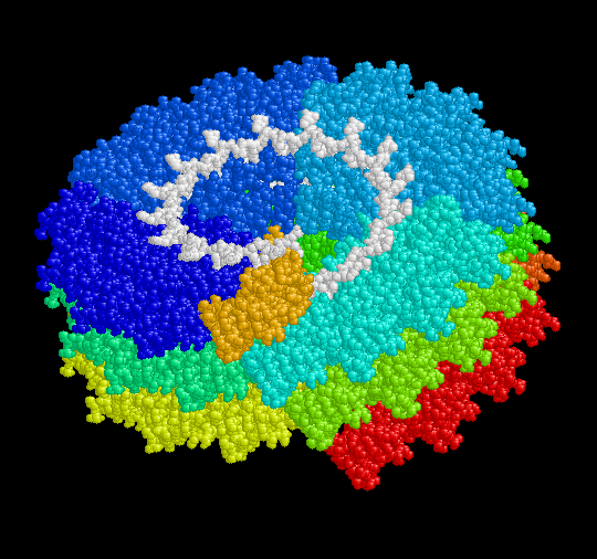 Image:TMV-colored.gif