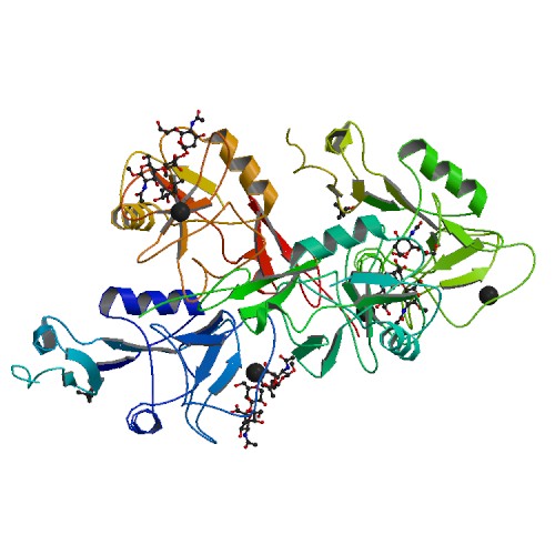 Image:1g1r bio r 500.jpg