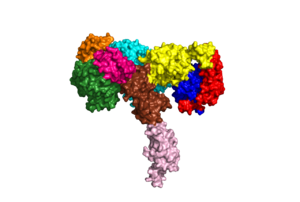 Image:6CE7.png