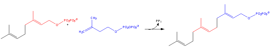Image:Cholesterol-Synthesis-Reaction9.png