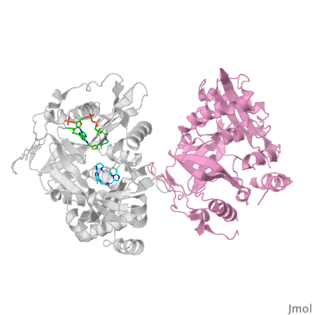 Image:Fig 1a.png