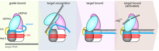 Image:Selection 039.png