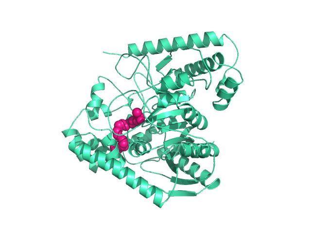 Image:1MT5.png
