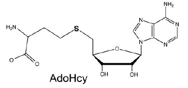 Image:AdoHcy_nouveau.PNG
