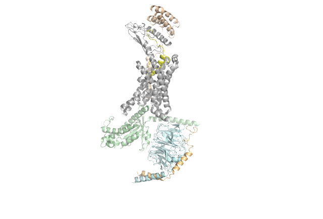 Image:GPCR APRIL.png