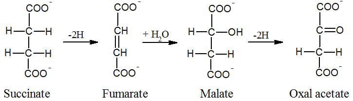 Image:discovery_2.jpg