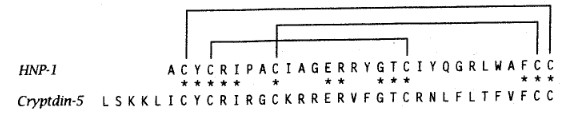 Image:Disulfure.jpg