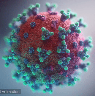 Overall view of the COVID-19 virus. Note the spikes, aqua, that adorn the outer surface, red, which imparts a corona like appearance (Fusion Animation).