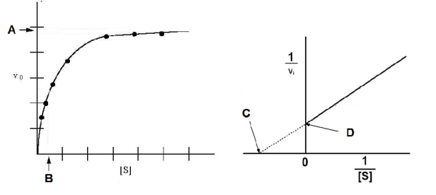 Image:Kinetics graph.png