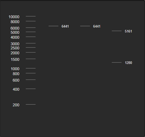 Image:RestrictionEnzymes.png