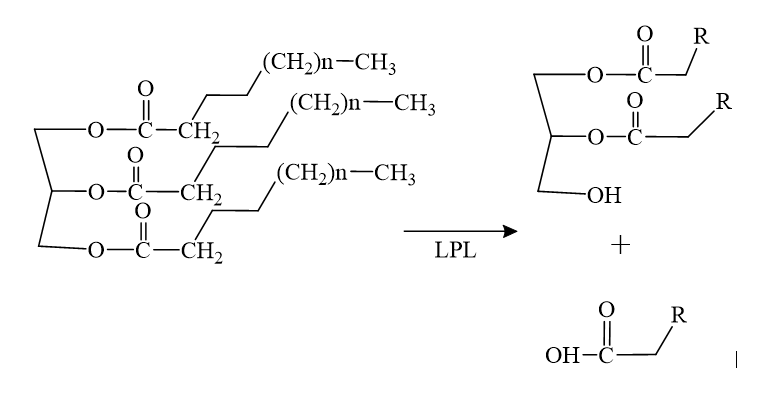Image:Triglyceride.png