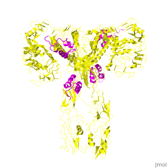 Image:Animated Electron cryomicroscopy.gif