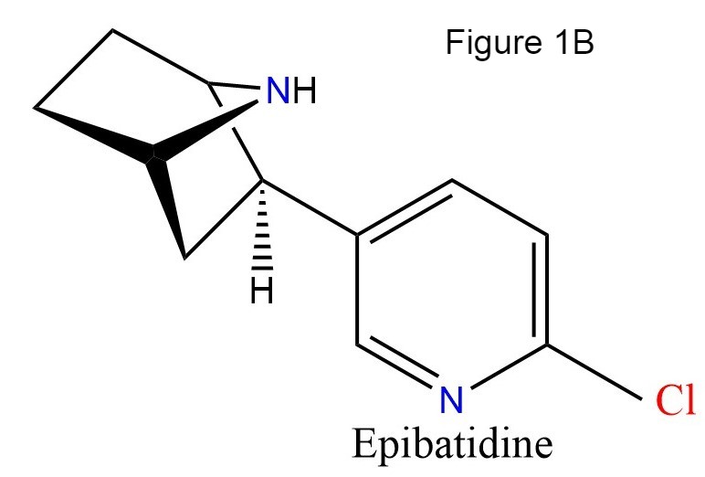 Image:Epibatidine.jpg