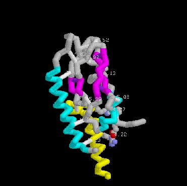 Image:Glp1rviewb.jpg