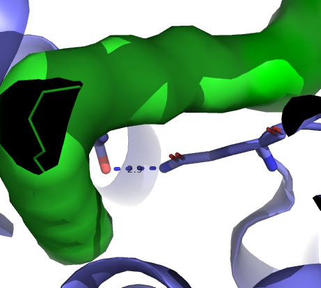 Image:Proteopedia demo.png