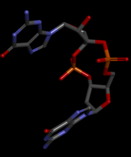 Image:GMP 3D.png