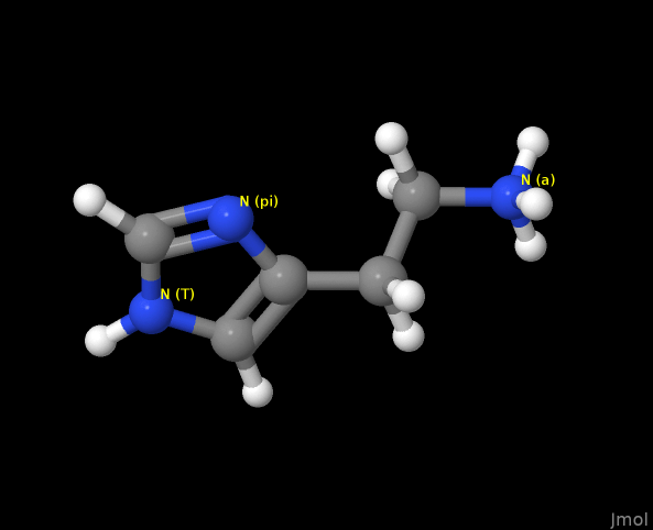 Image:Histamine-N-label.pngj.png