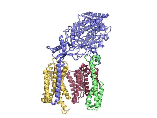 Image:Ribbon structure of whole.png