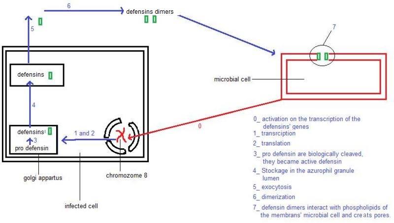 Image:Schema1.jpg