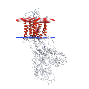 Image:Transmembrane view.png