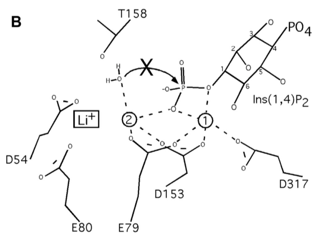 Image:Motif - Copy.png