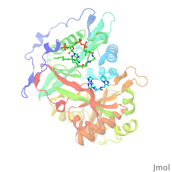 Image:006 Init 350x350.png