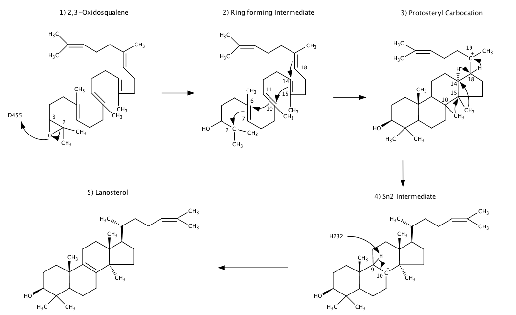 Image:Oxidosqualene2.png