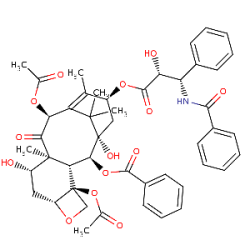 Paclitaxel (Taxol)