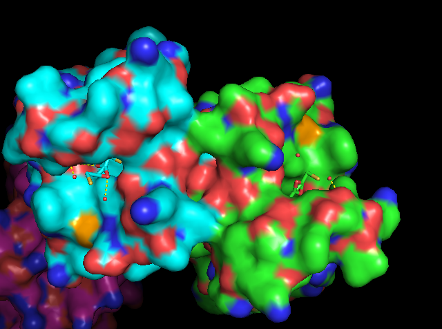 Image:BRD2BD1SurfaceView.png