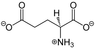 Image:320px-L-Glutamate Structural Formulae.jpg