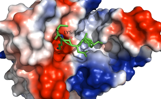Image:Electro map with cortistatin.png