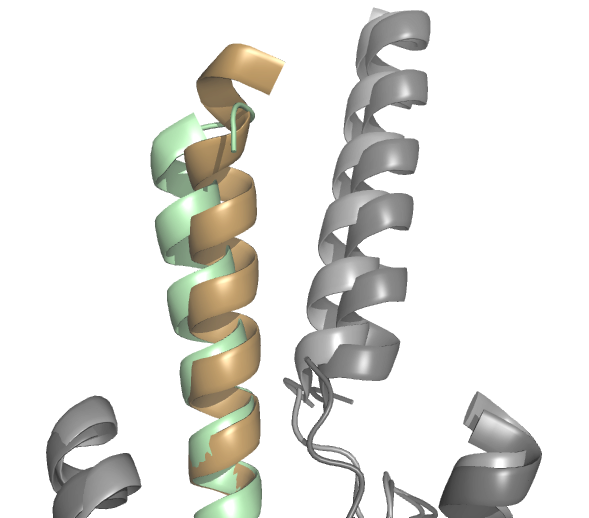Image:ProtoOverlay1.png