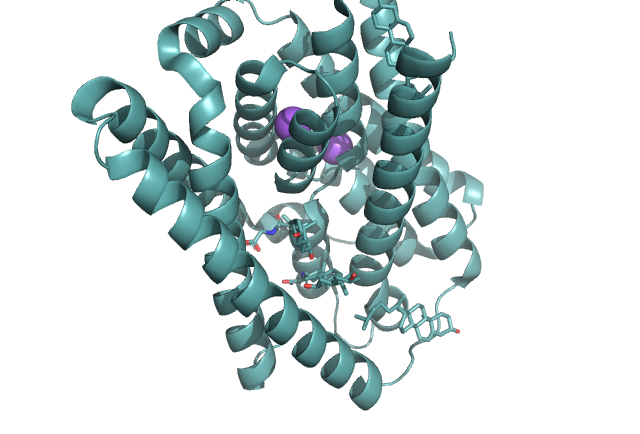Image:7ZYIbound.png