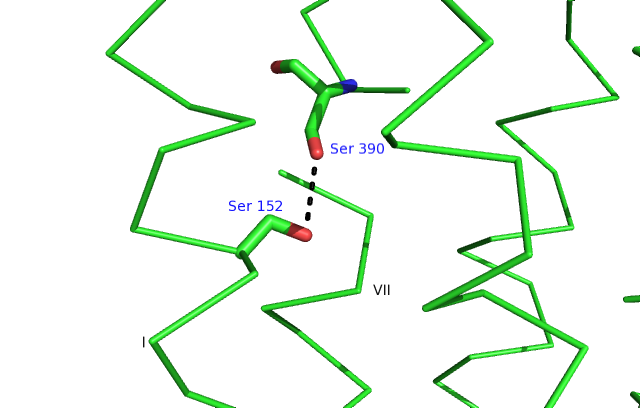 Image:Homologous residues pic a.png