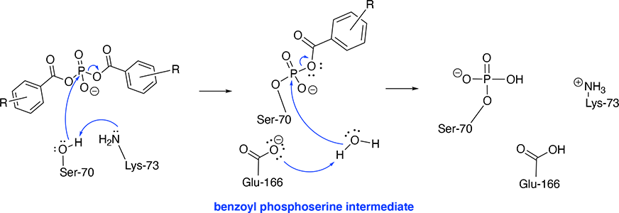 Image:Inhibition Mechanism.png