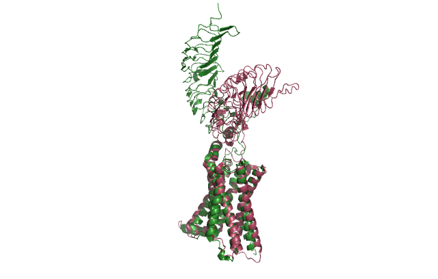Image:Inactive v active proteopedia.png