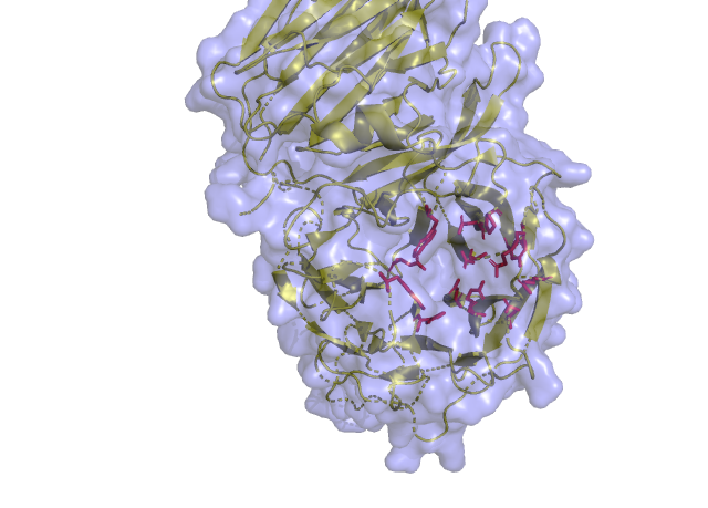Image:Pockt a.png