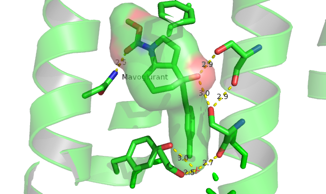 Image:Ligand better.png