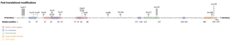 Image:RhoA domains.png