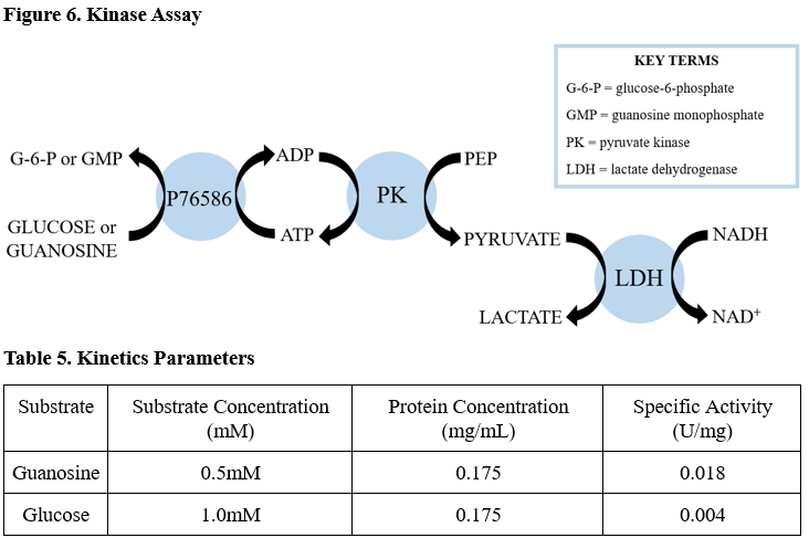 Image:Kinase_assay.png
