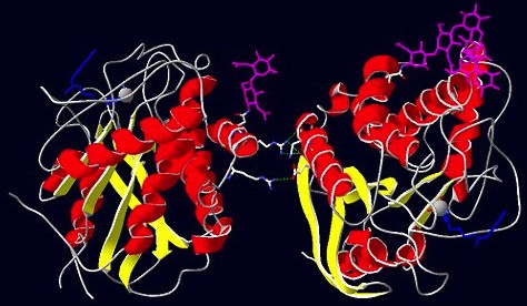 Image:Cropped dimer.jpg