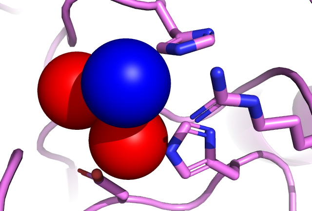 Image:Active site clean.png