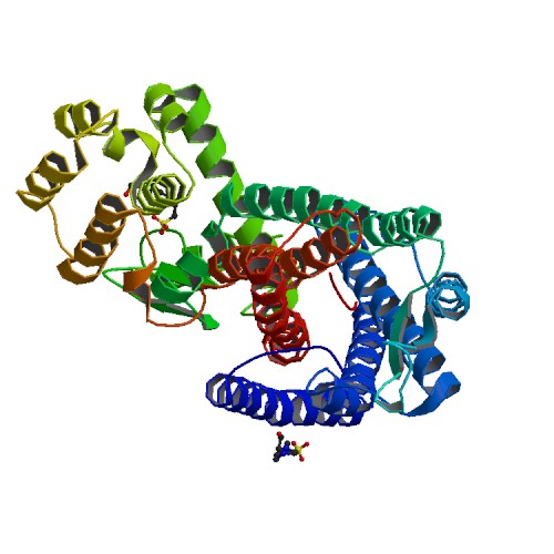 Image:4GRV_bio_r_500.jpg