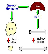 Image:temp.jpg