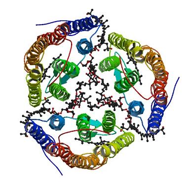 Image:2z55_bio_r_500.jpg