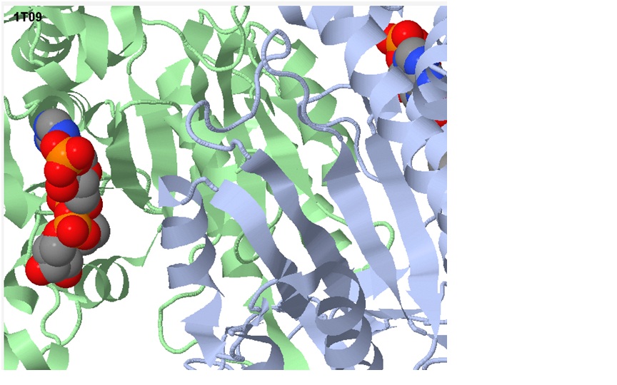 Image:Active site isocitrate.jpg
