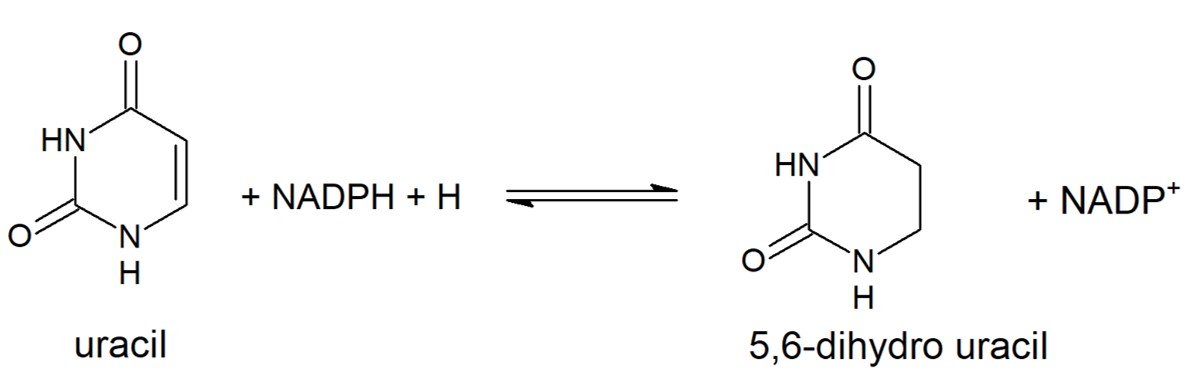 Image:Uracil_reduction.jpg
