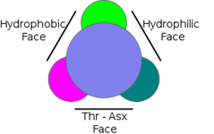 Image:Pic_1new.png