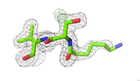 Image:Fig_04b_New_10_mesh_p8_25pc_425x253.gif