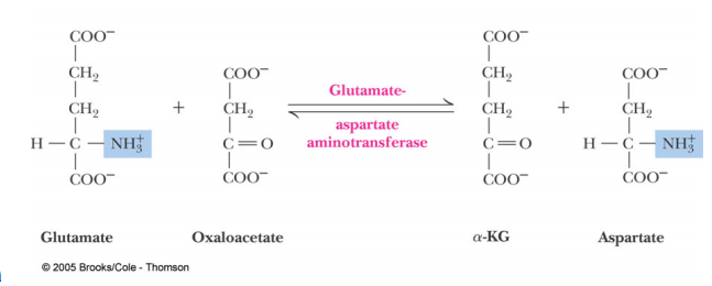 Image:mechanismAst.png